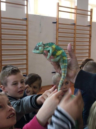 Tutaj powinien być opis