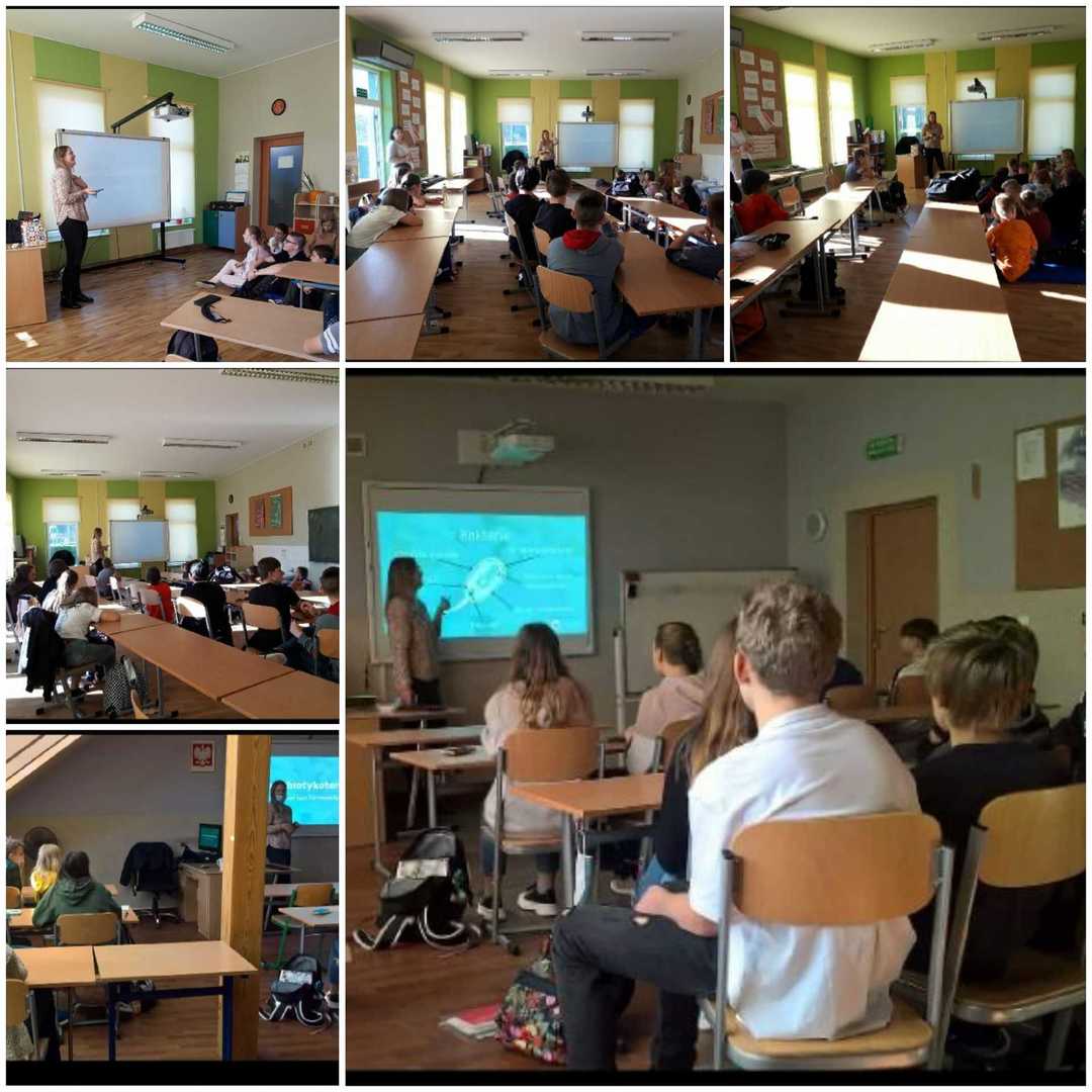 Tutaj powinien być opis