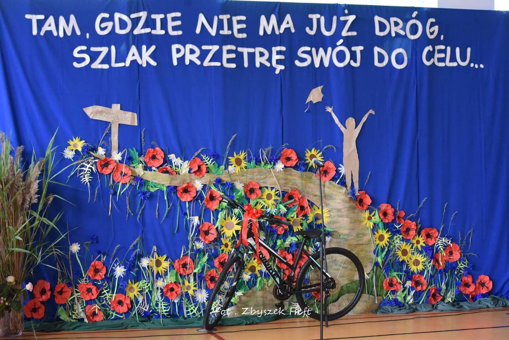 Tutaj powinien być opis