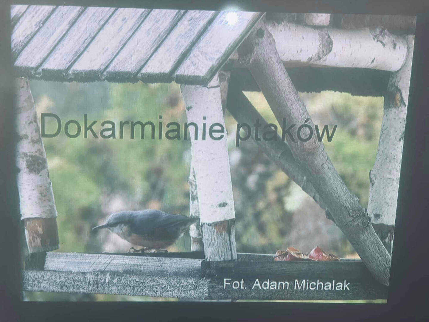 Tutaj powinien być opis