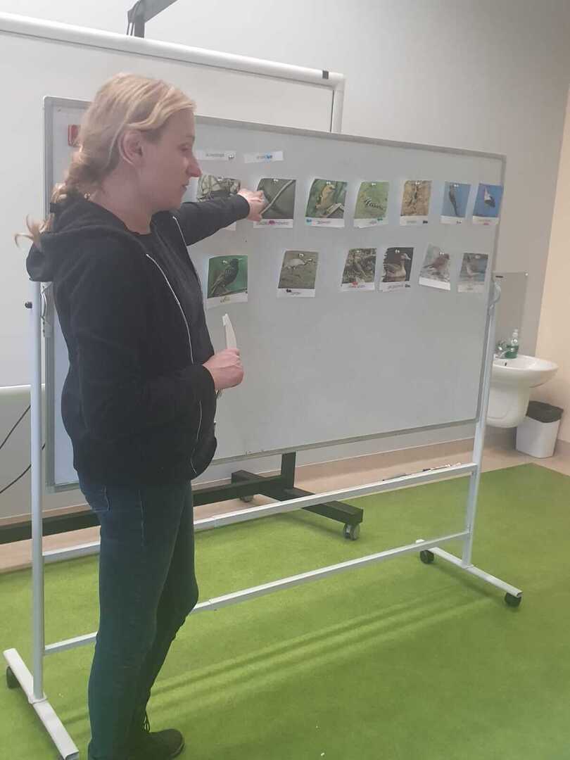 Tutaj powinien być opis